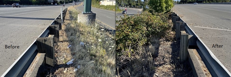 Before and after litter clean-up